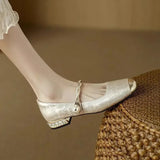 Helena - Sapatos Clássicos com Fivela